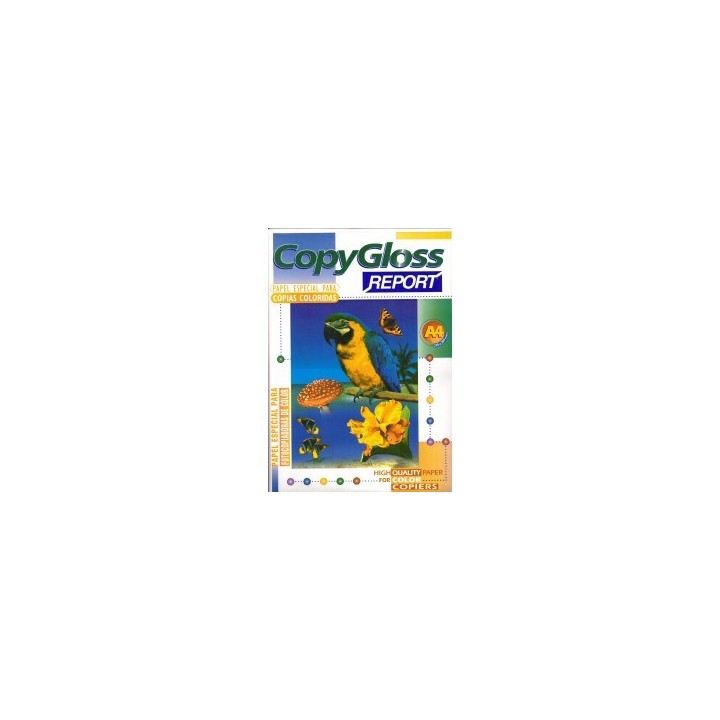 Papel Copygloss Report 120 grs
