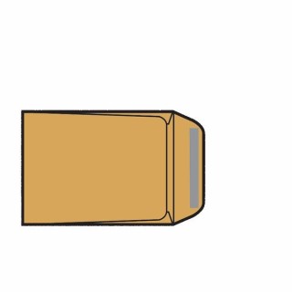 Bolsa Kraft 100 x 145mm Salario