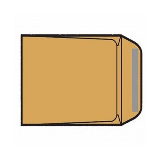 Bolsa Kraft 310 x 410mm Radiografía